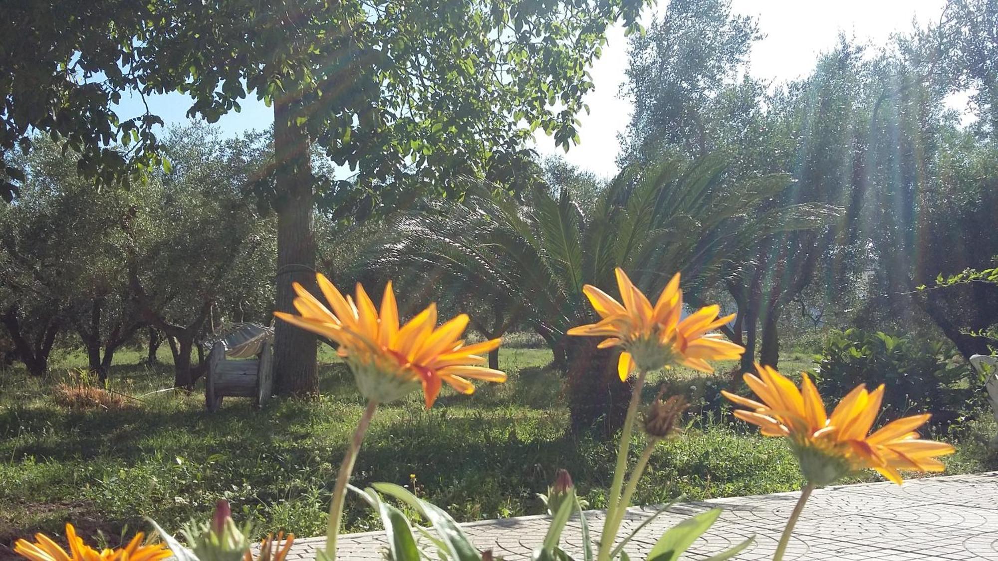 Agriturismo Santa Maria Marta Zewnętrze zdjęcie