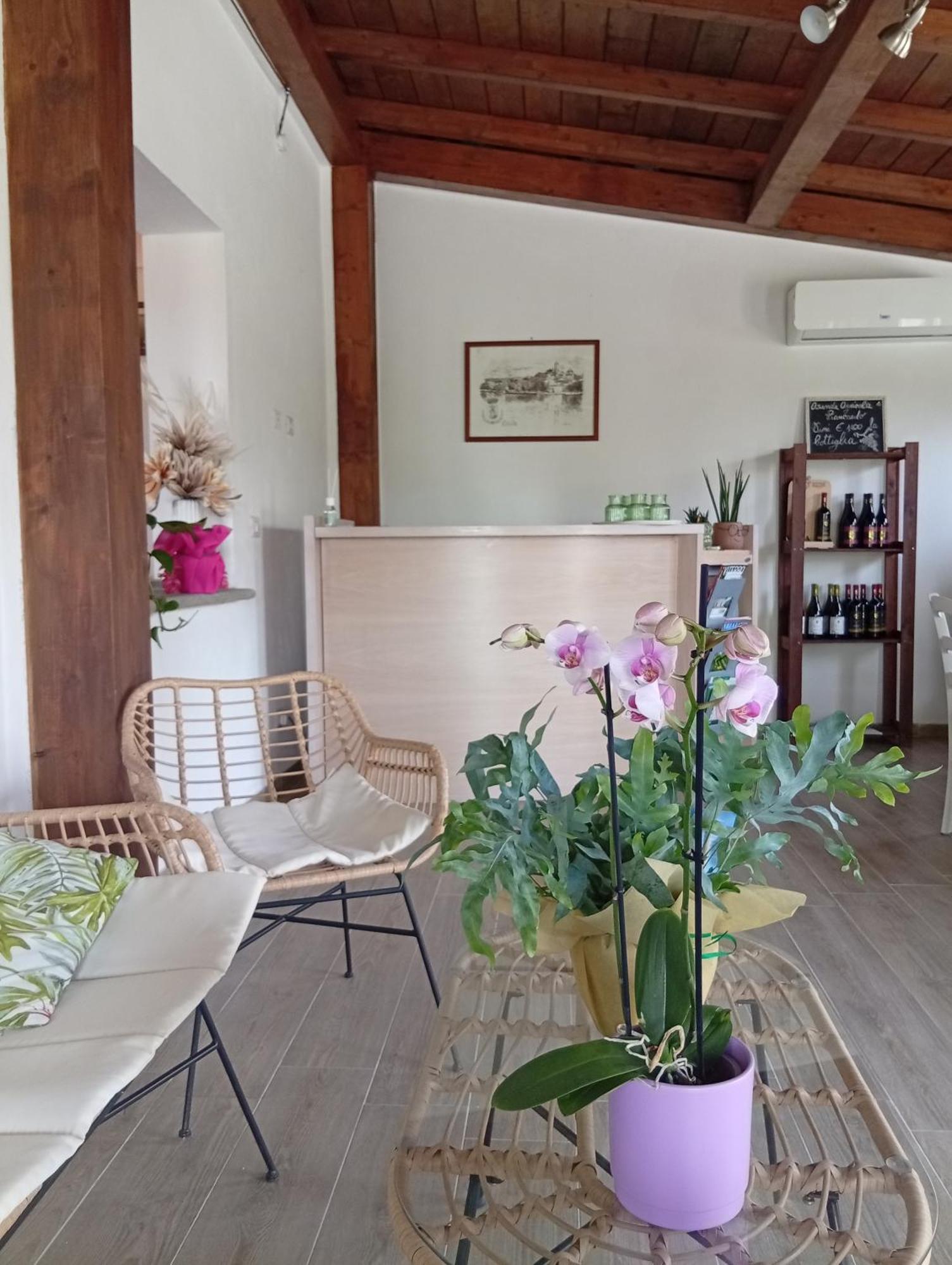 Agriturismo Santa Maria Marta Zewnętrze zdjęcie
